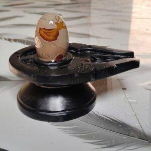 5 inch ka shivling or 10 inch Jaladhari