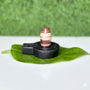 A small, smooth, brown and cream-striped Shivling resting on a black circular Jaladhari base, placed on a large green leaf.
