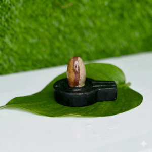 1.5 Inch Shivling or 3 Inch Jaladhari
