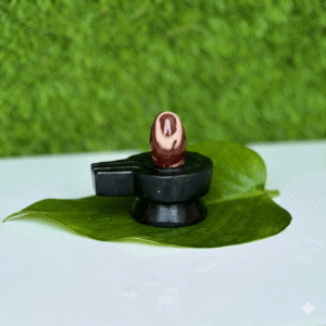 1.5 Inch Shivling or 3 Inch Jaladhari