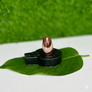 1.5 Inch Shivling or 3 Inch Jaladhari