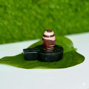 1.5 Inch Shivling or 3 Inch Jaladhari