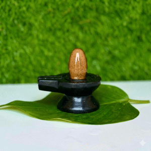 A small, smooth, brown, egg-shaped stone placed on a black pedestal, resting on a large green leaf against a blurred green background.
