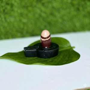 A small, smooth, brown and beige striped Shivling resting on a single green leaf against a blurred green background.
