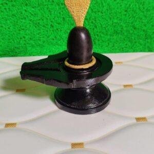 Namdev Divine Shivling with Nag (Cobra) Symbol